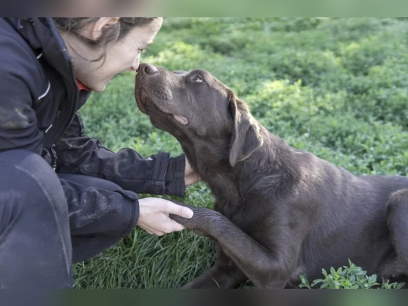 liebenswerte Gemma sucht ihre Herzensmenschen