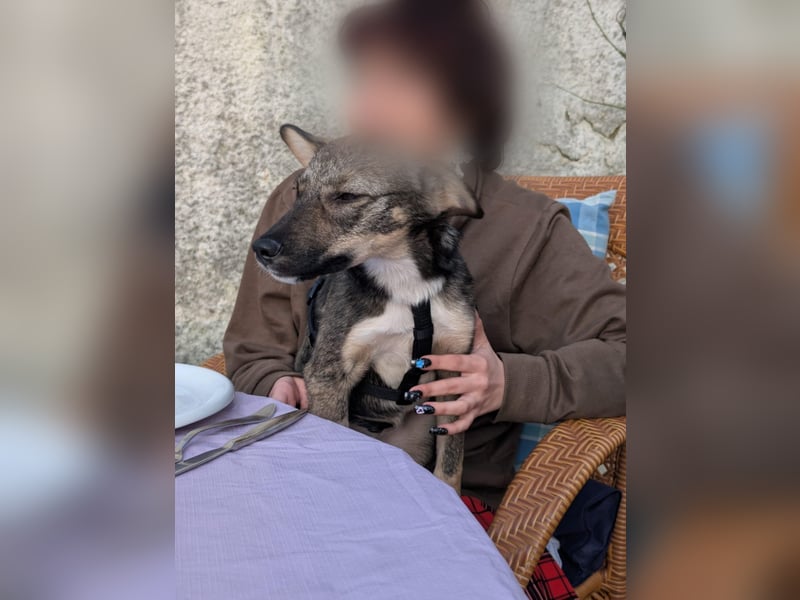 Kleine Zaubermaus Tammi suchtbihr Zuhause