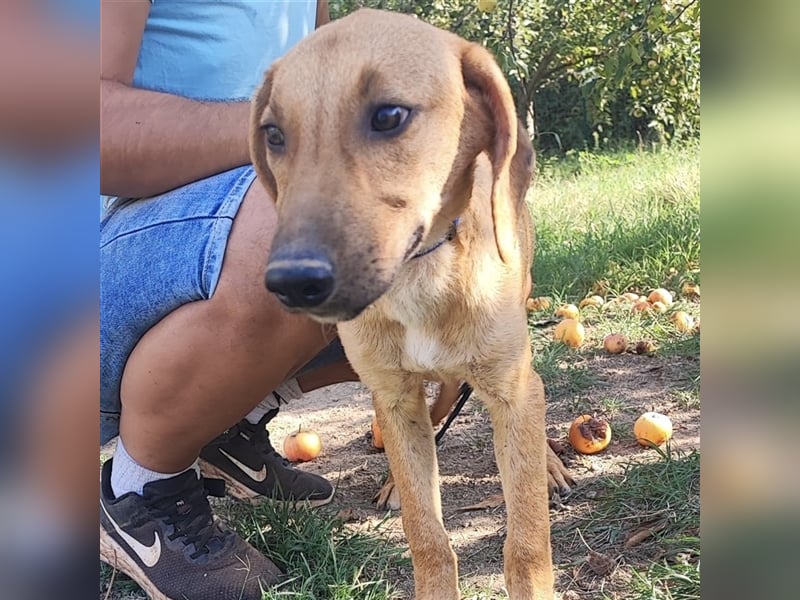 Zarte Lina sucht ihre Herzmenschen❤️
