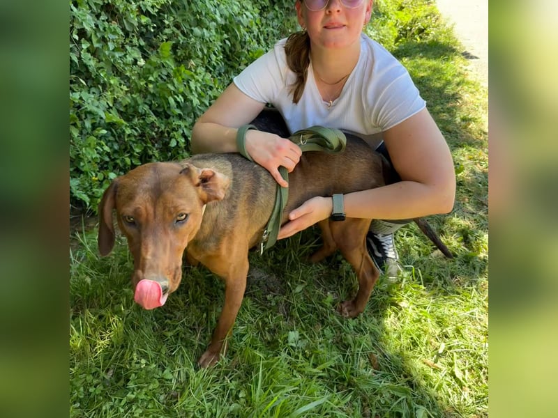 Liebe Luna sucht ländliches Zuhause ❤️