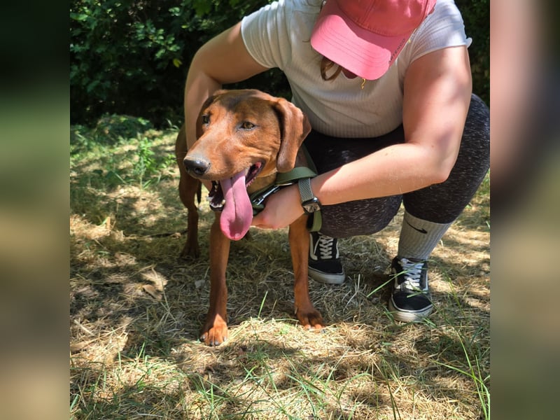 Liebe Luna sucht ländliches Zuhause ❤️