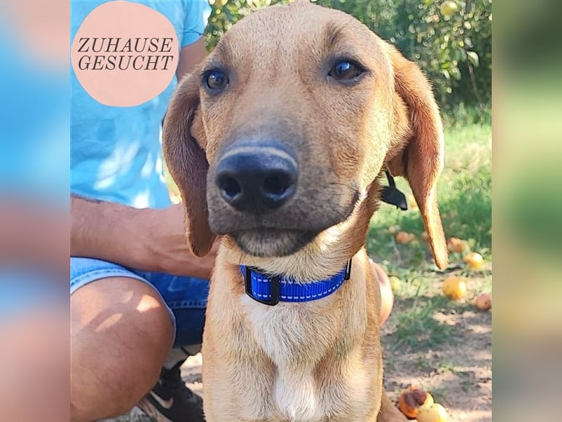 Zarte Lina sucht ihre Herzmenschen❤️