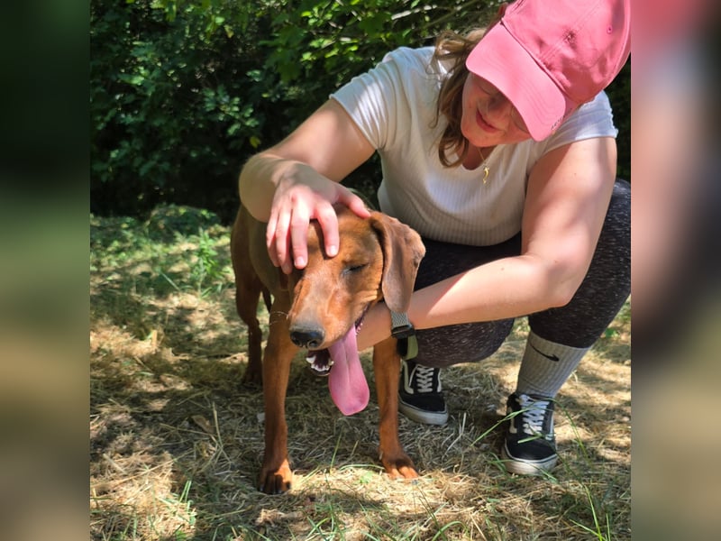 Liebe Luna sucht ländliches Zuhause ❤️