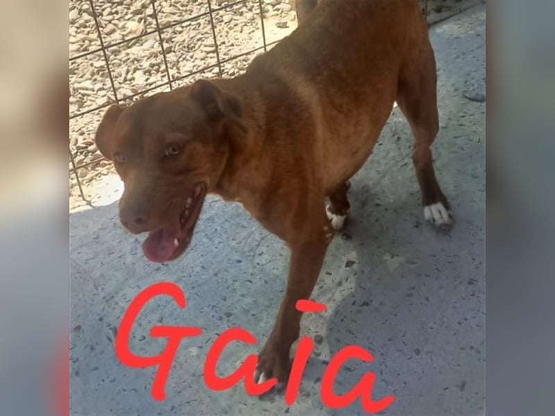 Unsere wunderbare Gaia