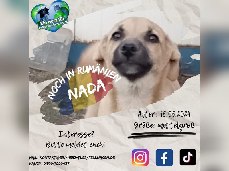 Unsere süße Nada