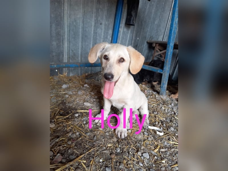 Unsere liebe Holly