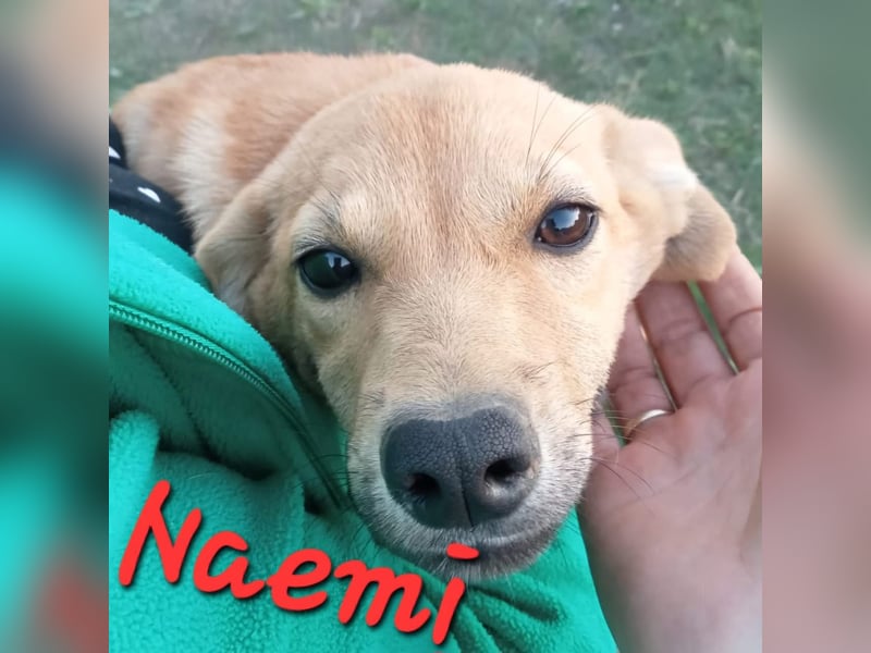 Unsere zauberhafte Naemi