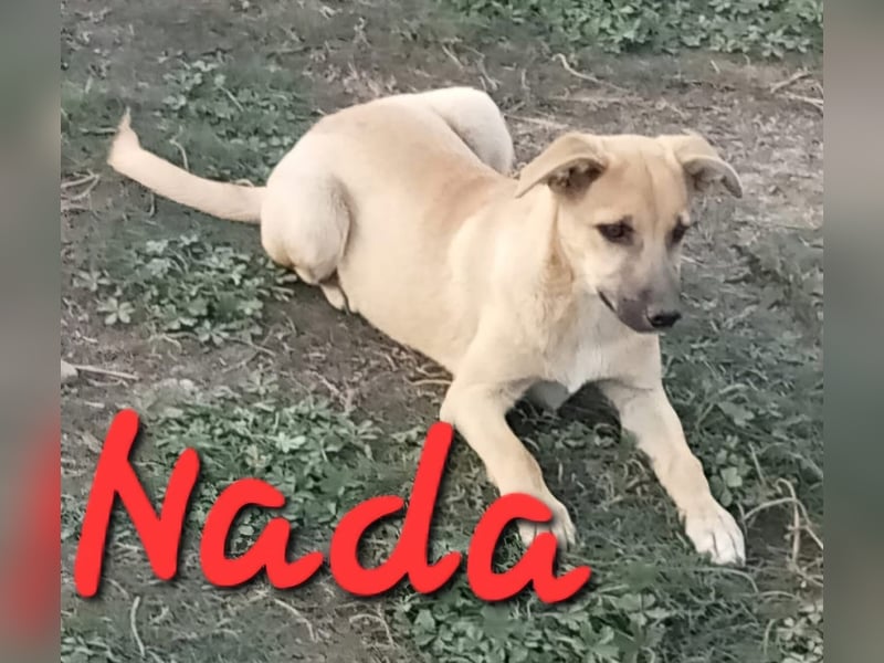 Unsere süße Nada
