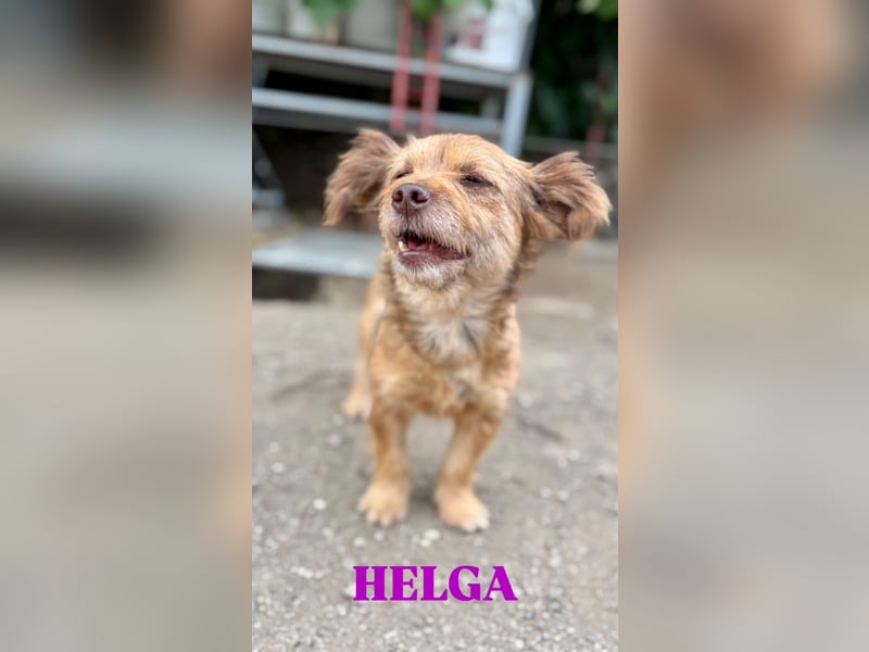 Helga - kleine Maus