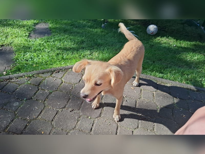 Luna - die Süße!