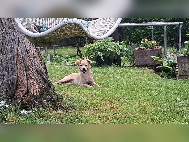 Luna - die Süße!
