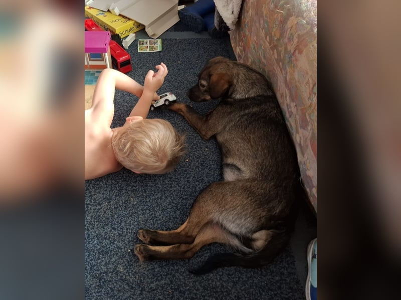 Offene, kinderliebe Eli sucht liebevolles Zuhause