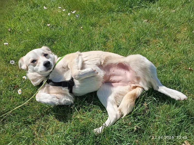Lilly freut sich auf Deinen Besuch