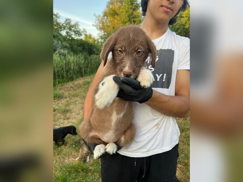 Hübsche Jolie freut sich auf Deinen Besuch