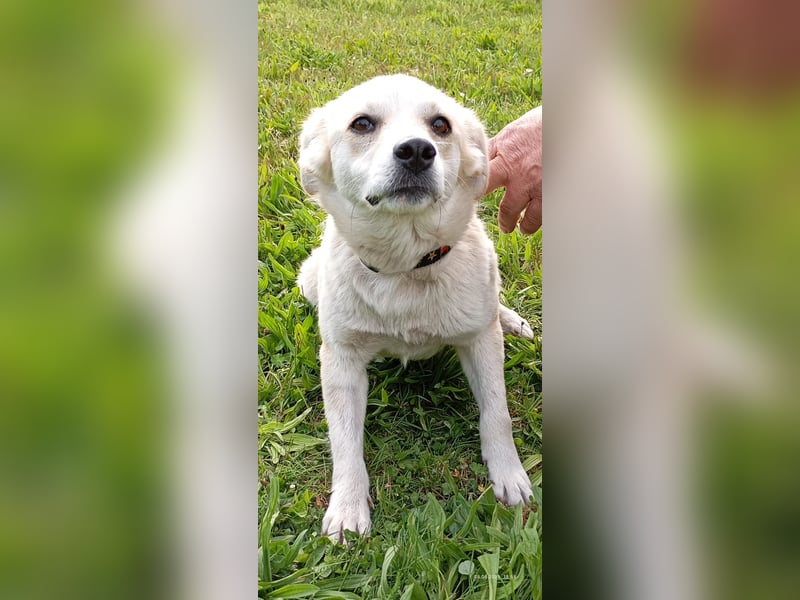 Lilly freut sich auf Deinen Besuch