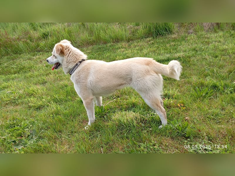 Lilly freut sich auf Deinen Besuch