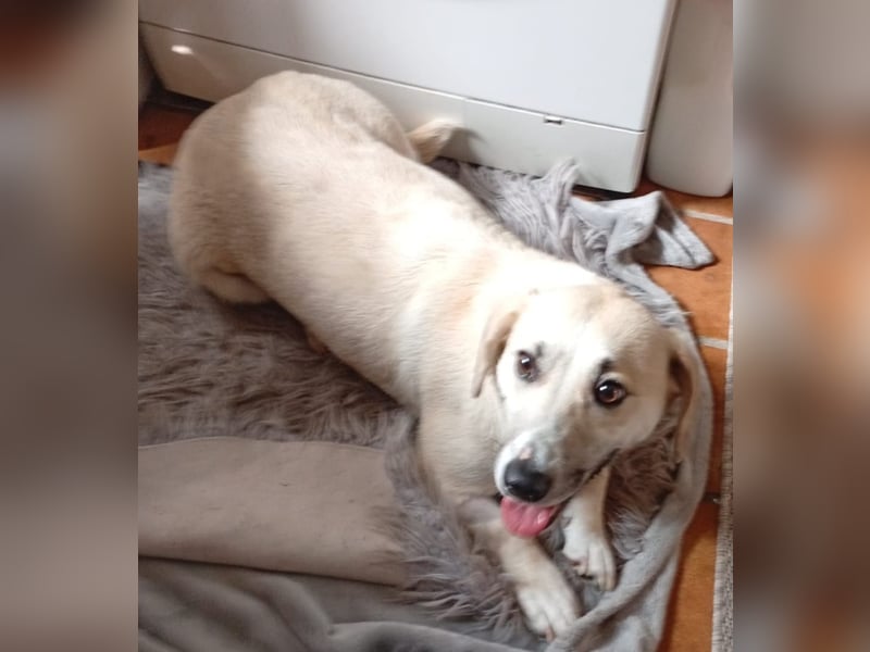 Sunny freut sich auf Deinen Besuch