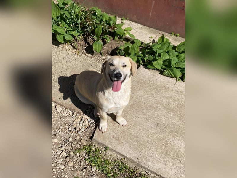 Sunny freut sich auf Deinen Besuch