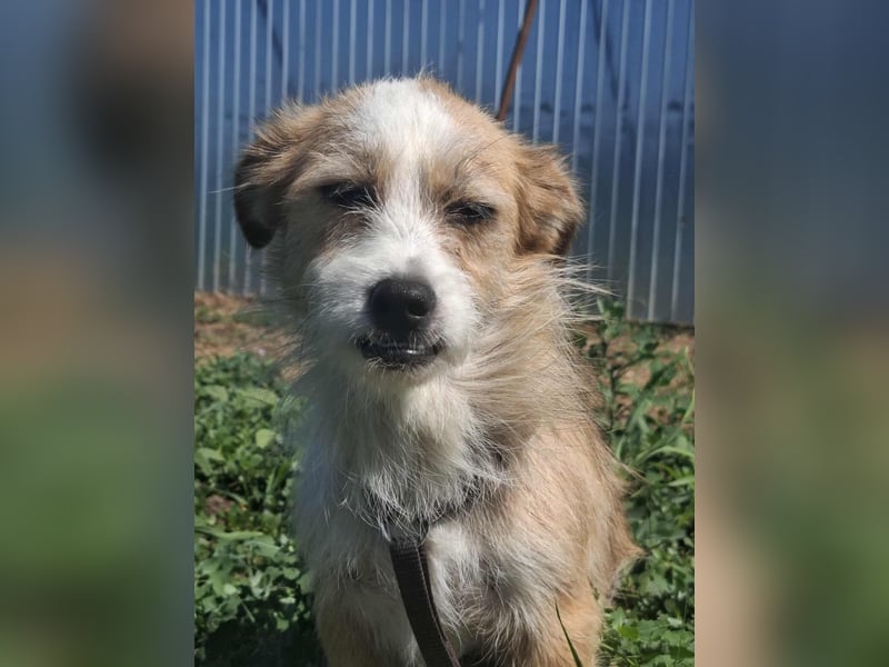 Zauberhafte kleine Gitti