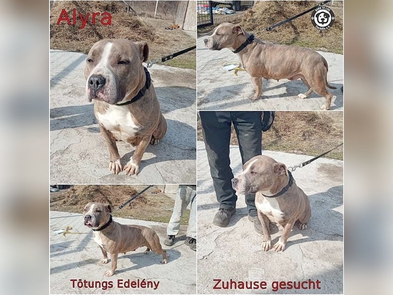 ALYRA, liebe Maus. Da Listenmix darf sie nicht nach DT