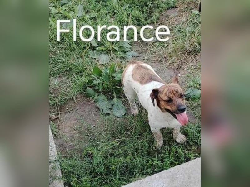 Florance von kettenlos