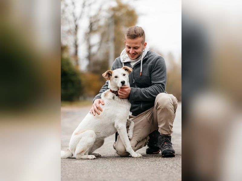 Liebevolle Dakota sucht ihre Menschen