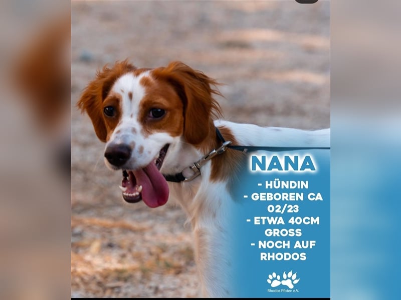 Nana sucht ihr zu Hause! ❤️