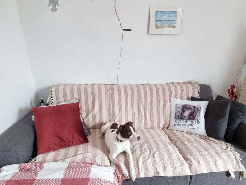 Lotta- Eine energiegeladene Frohnatur sucht ihr Zuhause!