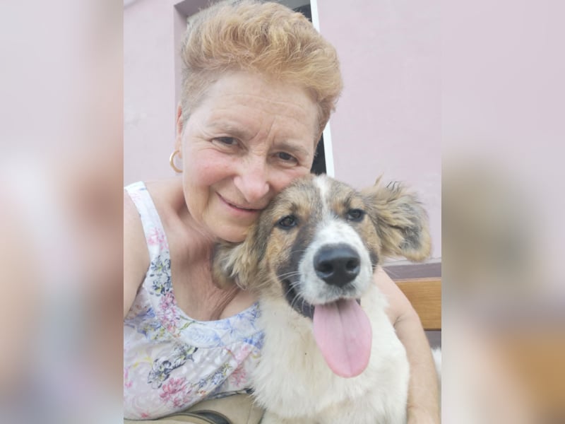 SUSIE - sanfte Schönheit sucht eine Familie