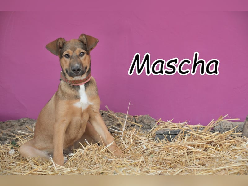 Zeigen Sie Mascha, was Liebe ist?
