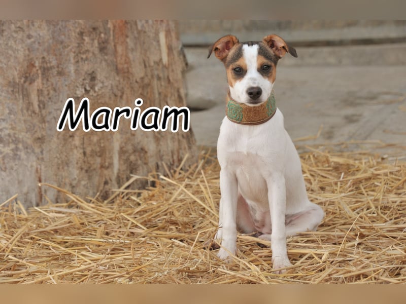 Darf Mariam Ihre Welt ein wenig bunter machen?