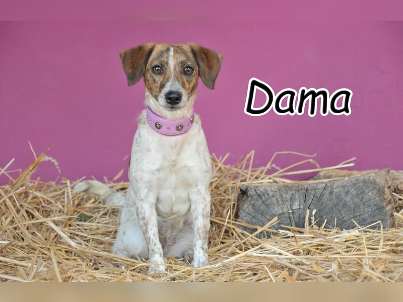 Hat Dama auch Ihr Herz berührt?