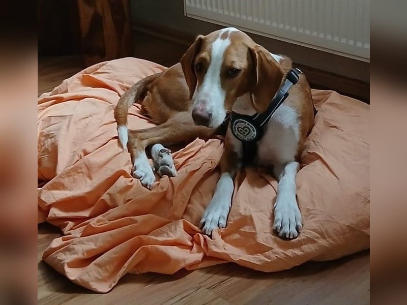 Mirella sucht ihre Lieblingsmenschen...