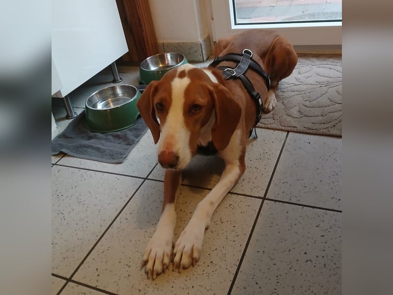Mirella sucht ihre Lieblingsmenschen...