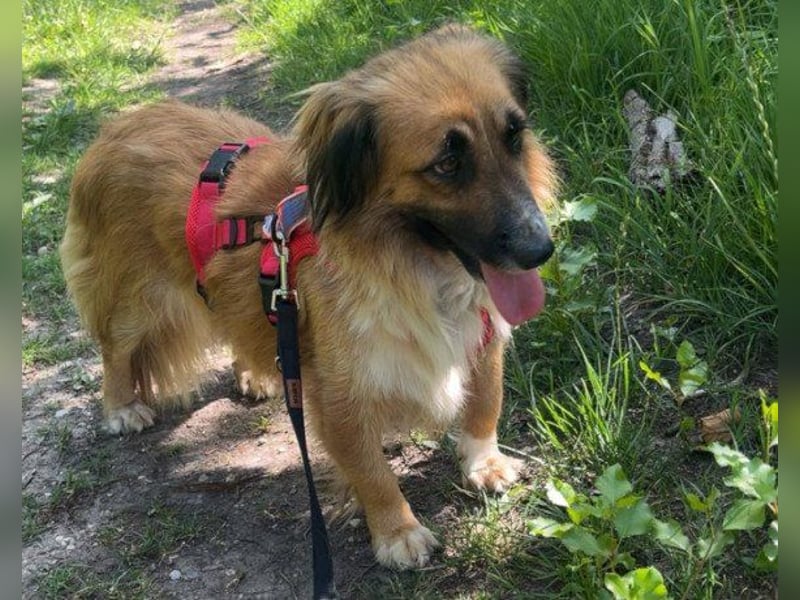 Besuche Grace in 64711 Erbach ❤