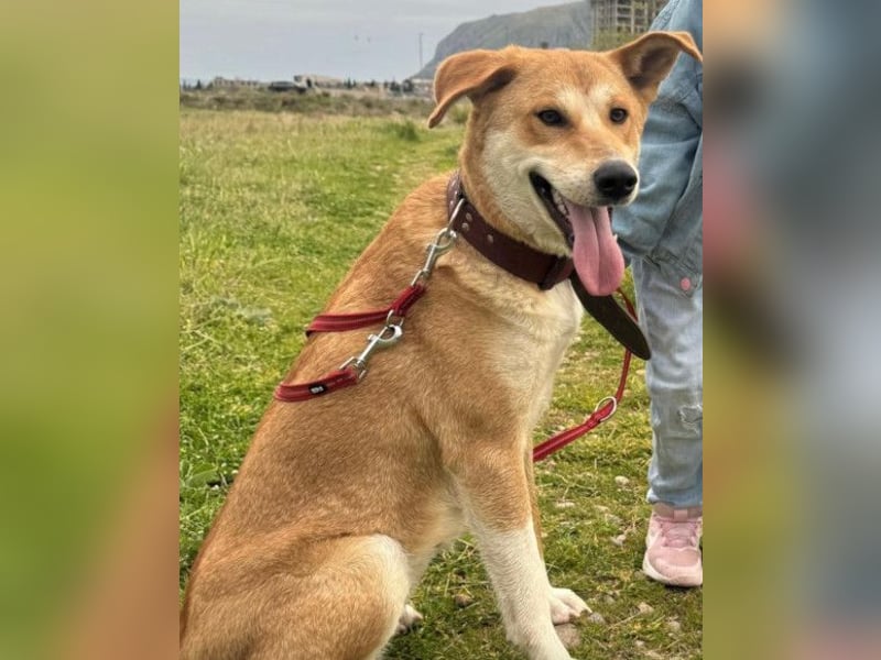 Zara ❤️ will endlich Liebe+Nähe spüren