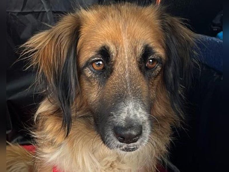 Besuche Grace in 64711 Erbach ❤
