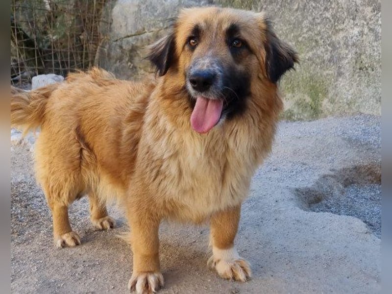 Besuche Grace in 64711 Erbach ❤