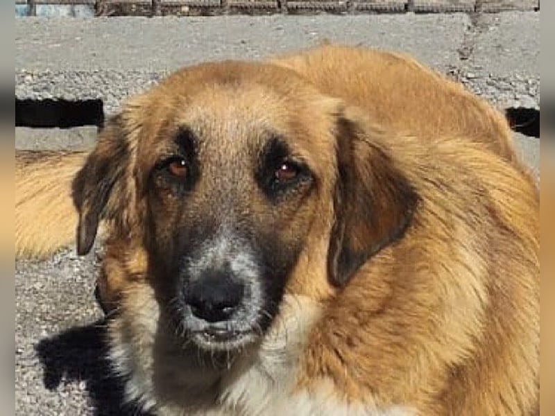Besuche Grace in 64711 Erbach ❤