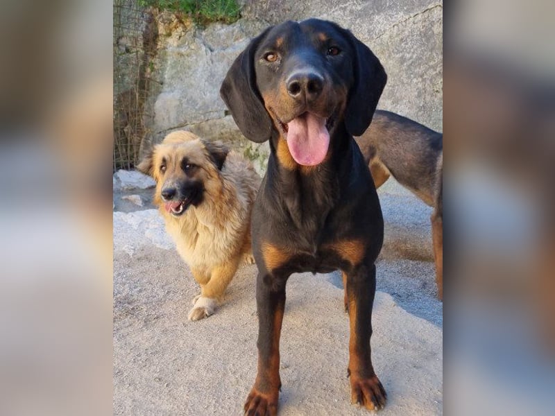 Goldschatz Grace sucht ihre Familie
