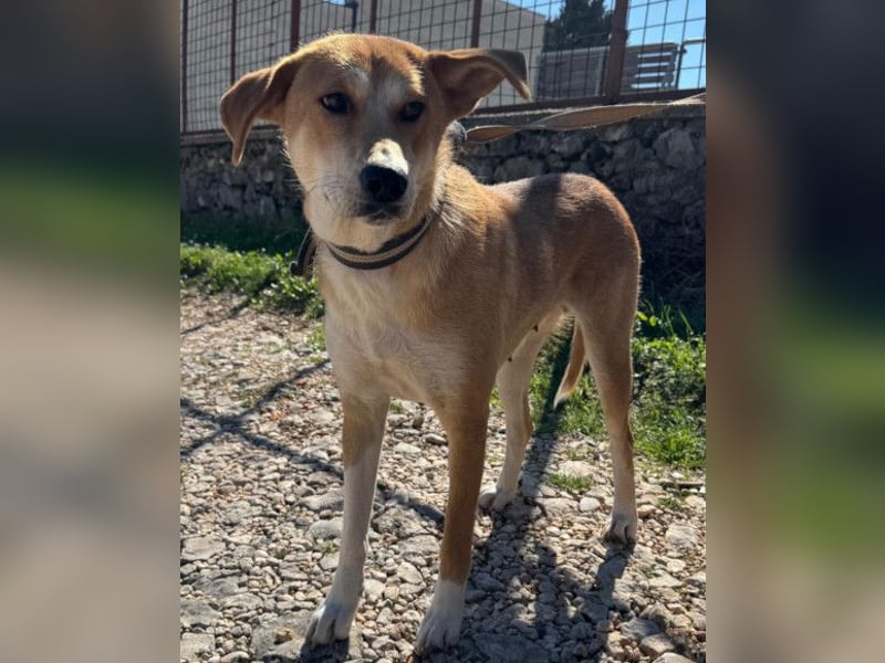 Zara ❤️ will endlich Liebe+Nähe spüren