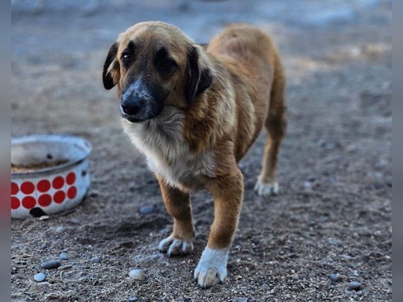 Besuche Grace in 64711 Erbach ❤