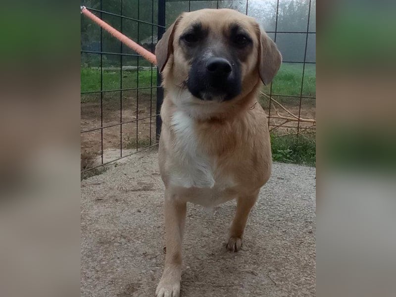 Kleine ♥Auri♥ ist auf Körbchensuche