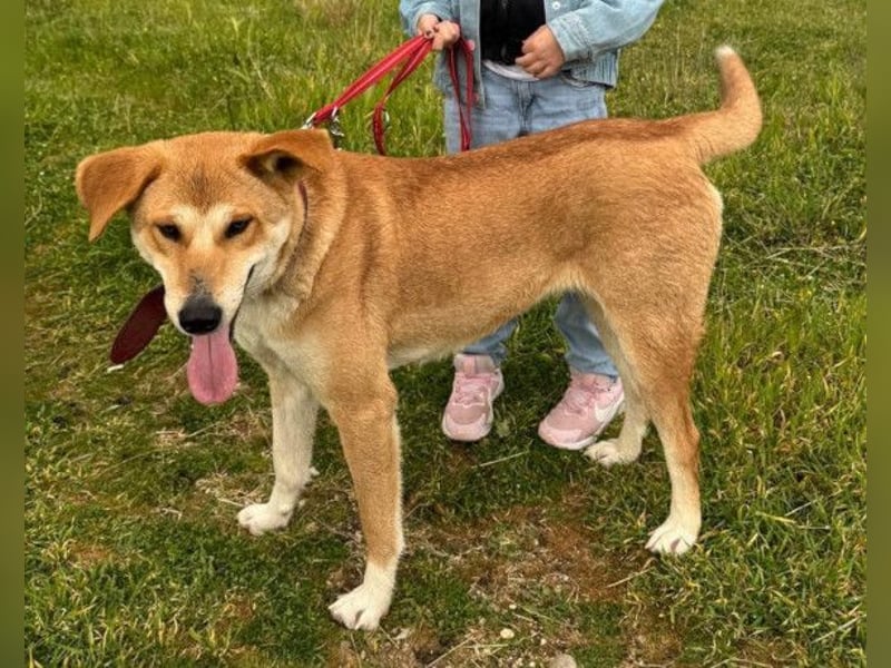Zara ❤️ will endlich Liebe+Nähe spüren