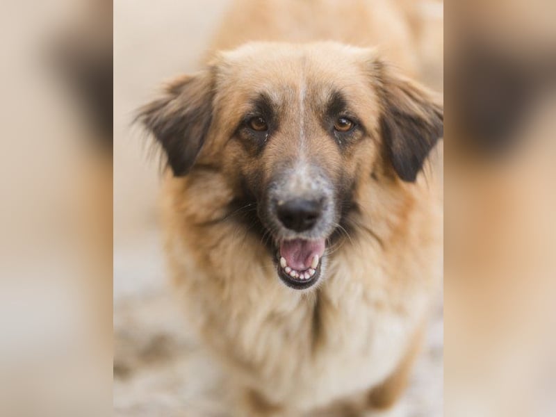 Besuche Grace in 64711 Erbach ❤
