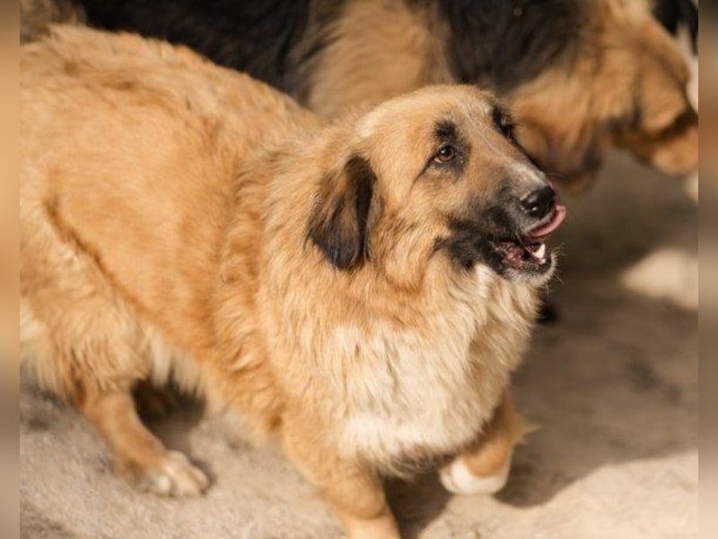 Besuche Grace in 64711 Erbach ❤