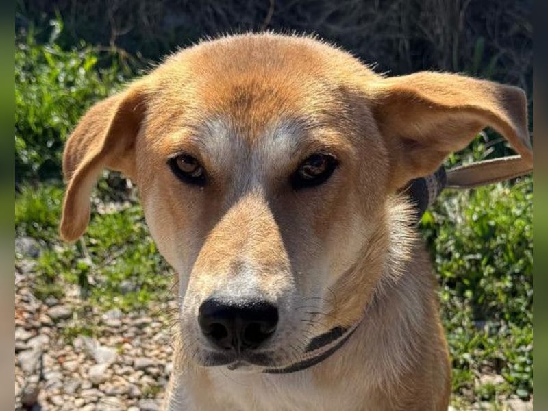 Zara ❤️ will endlich Liebe+Nähe spüren