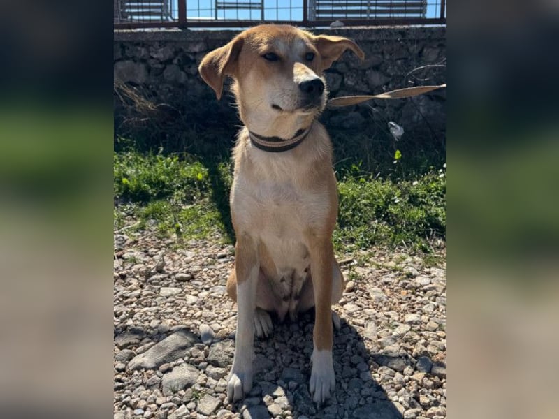 Zara ❤️ will endlich Liebe+Nähe spüren