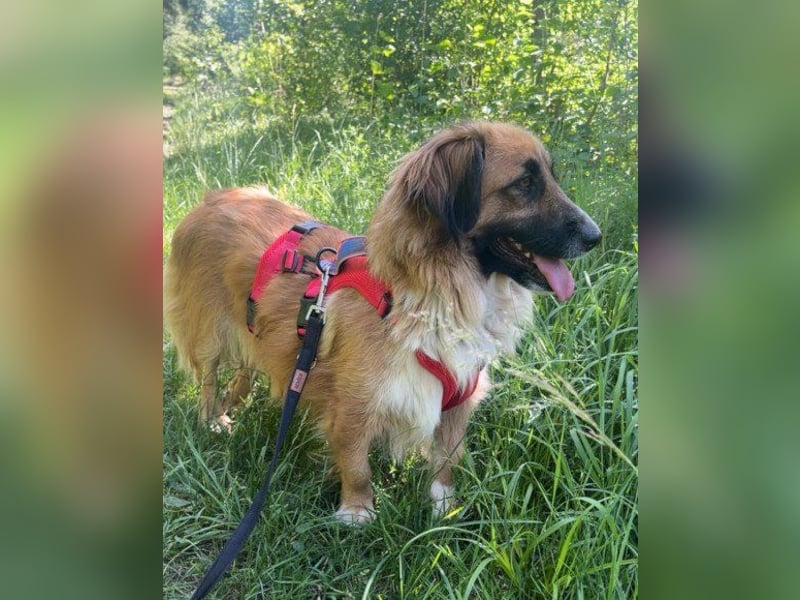 Besuche Grace in 64711 Erbach ❤