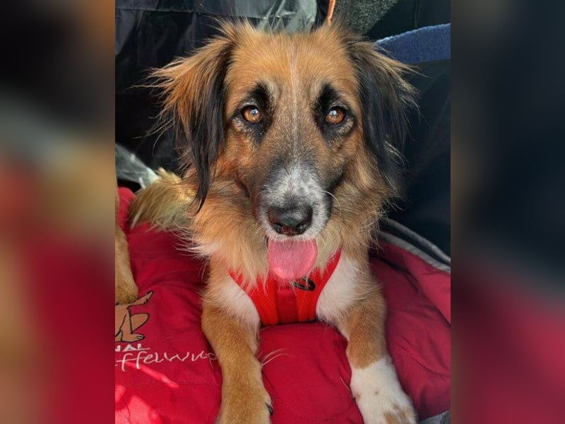 Besuche Grace in 64711 Erbach ❤